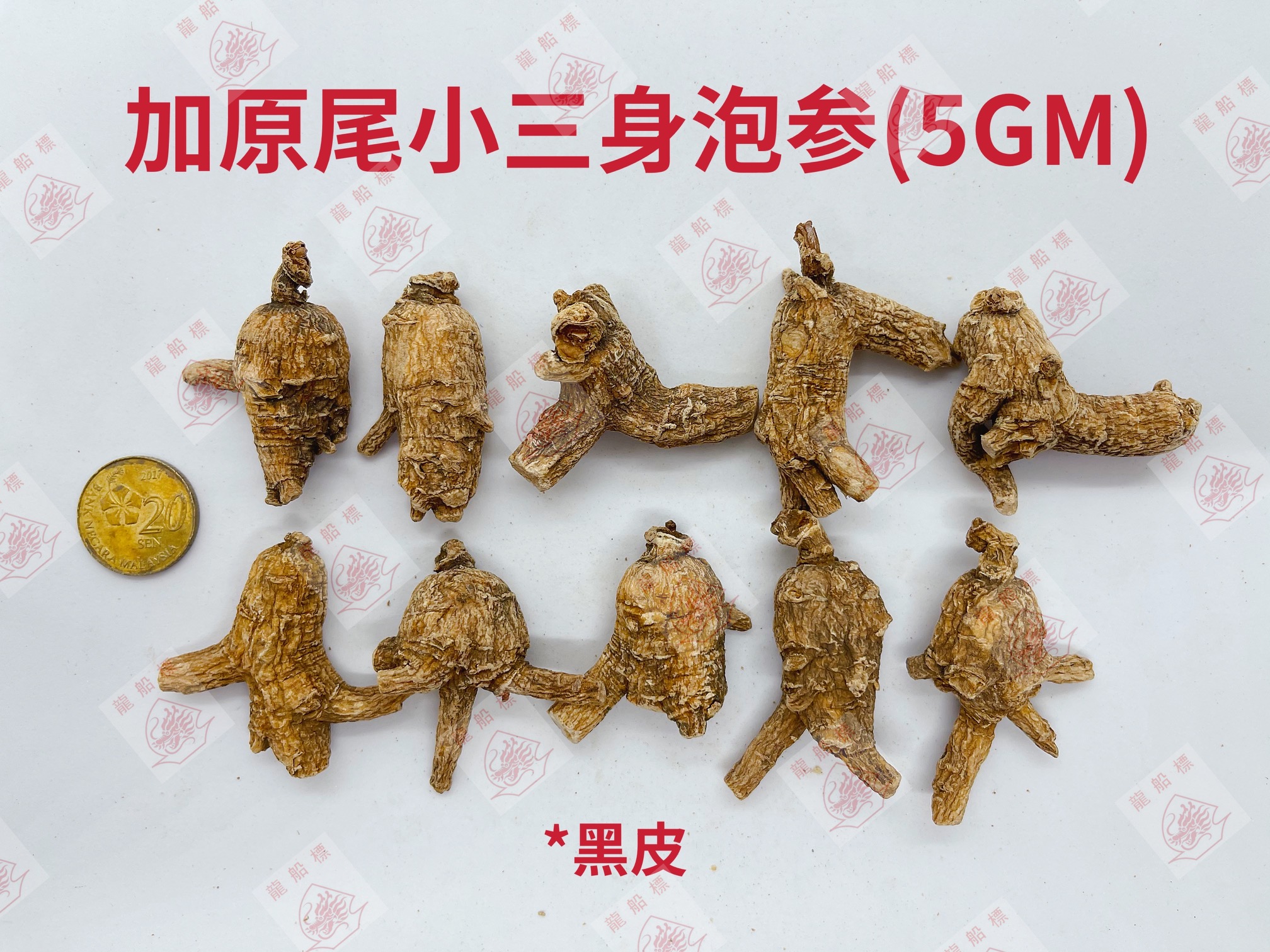 0_img_5126_watermark_fri_04062021_161421