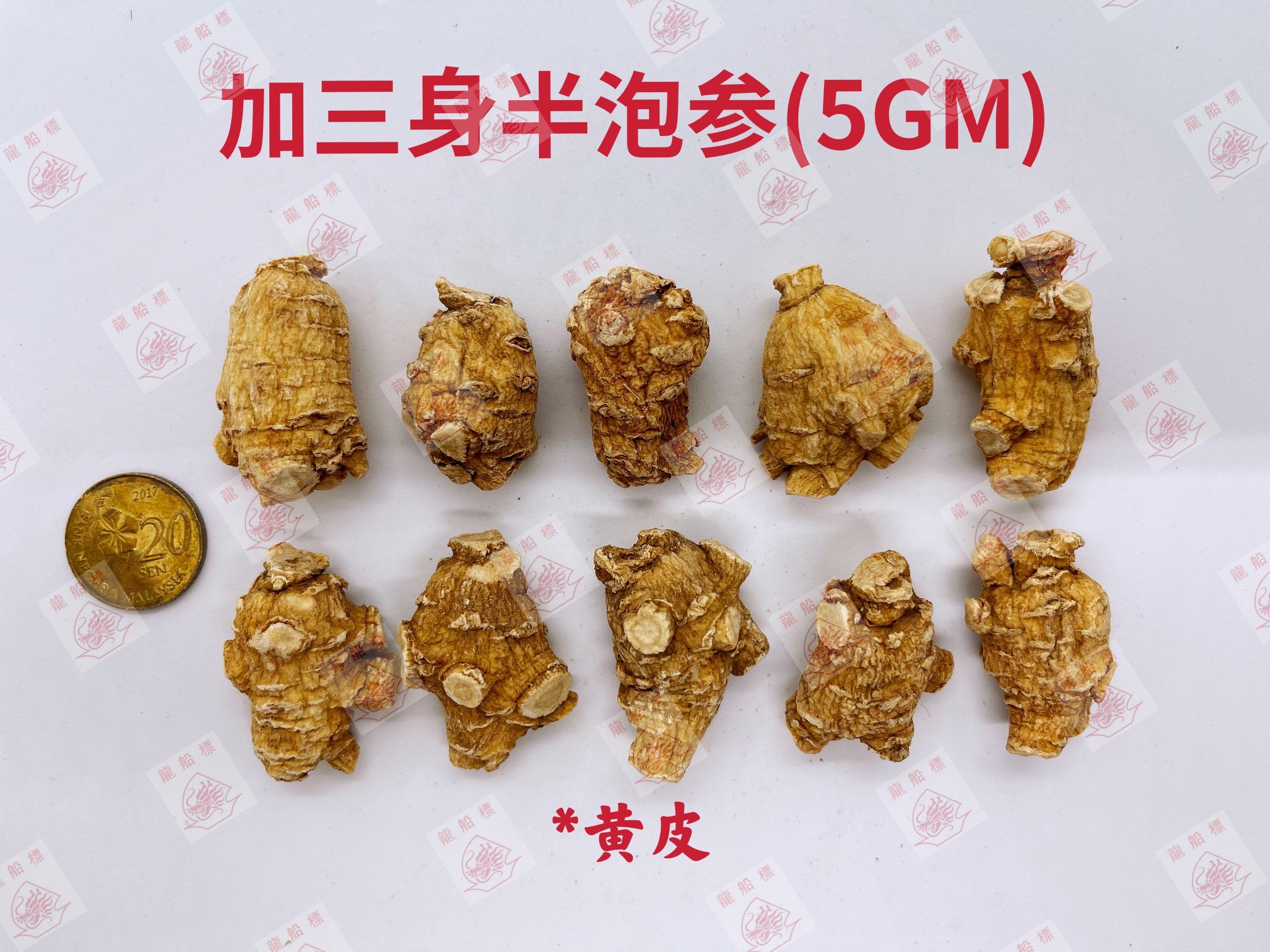 1_img_5123_watermark_fri_04062021_161100