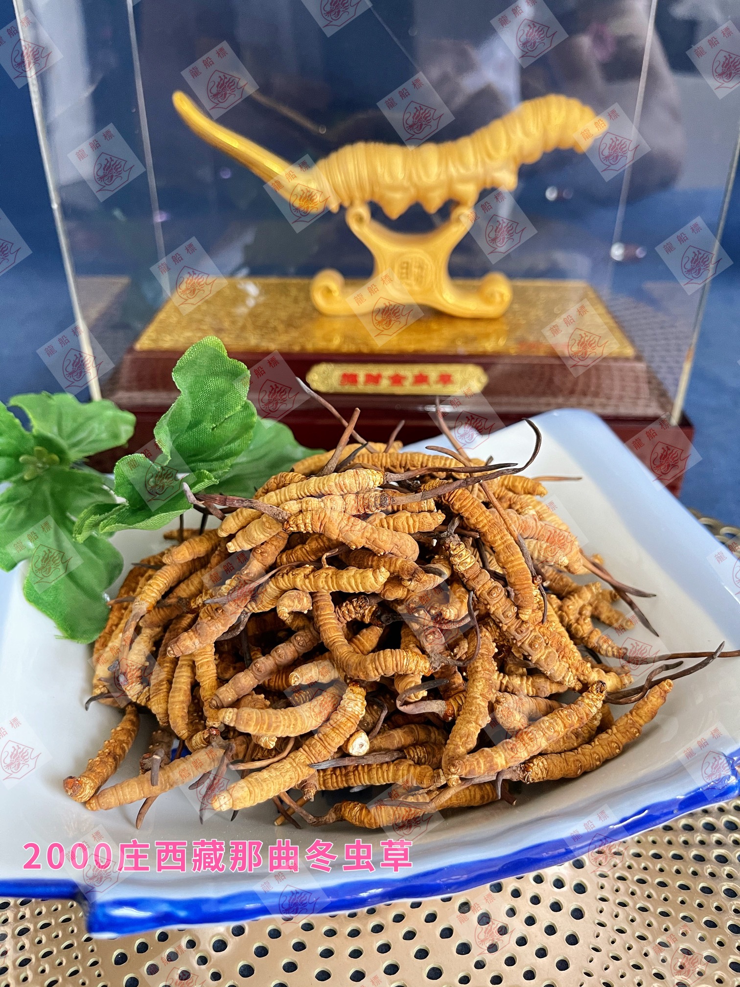 1_img_5686_watermark_thu_10062021_194319