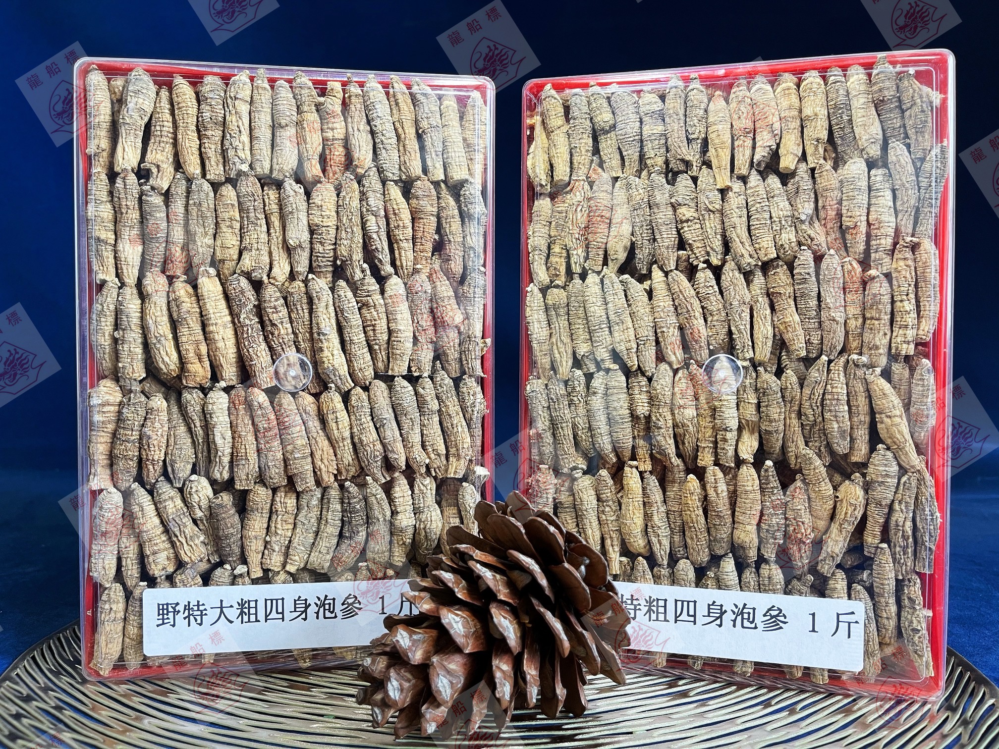 2_img_5501_watermark_wed_09062021_152830