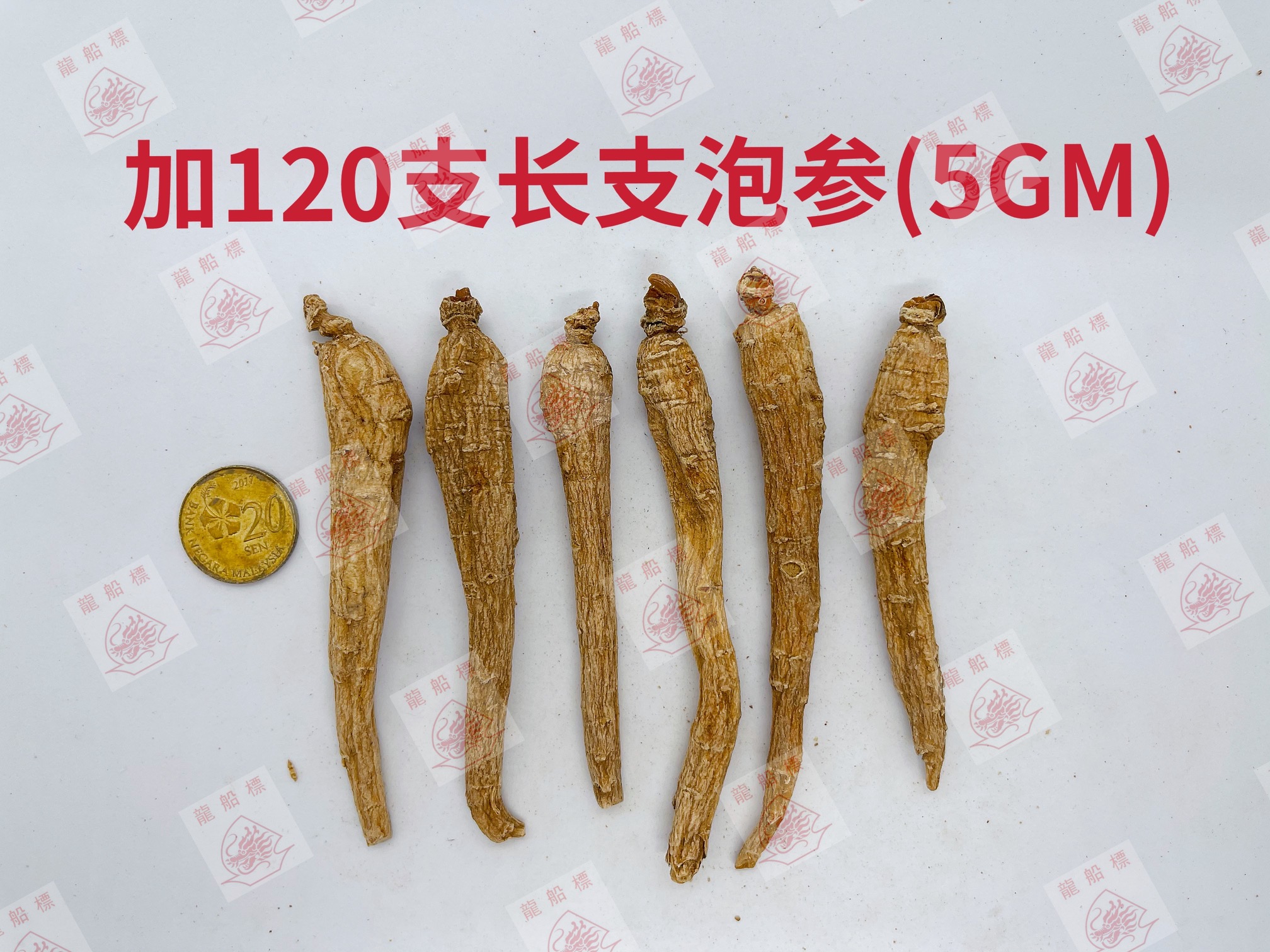 3_img_5156_watermark_fri_04062021_161808