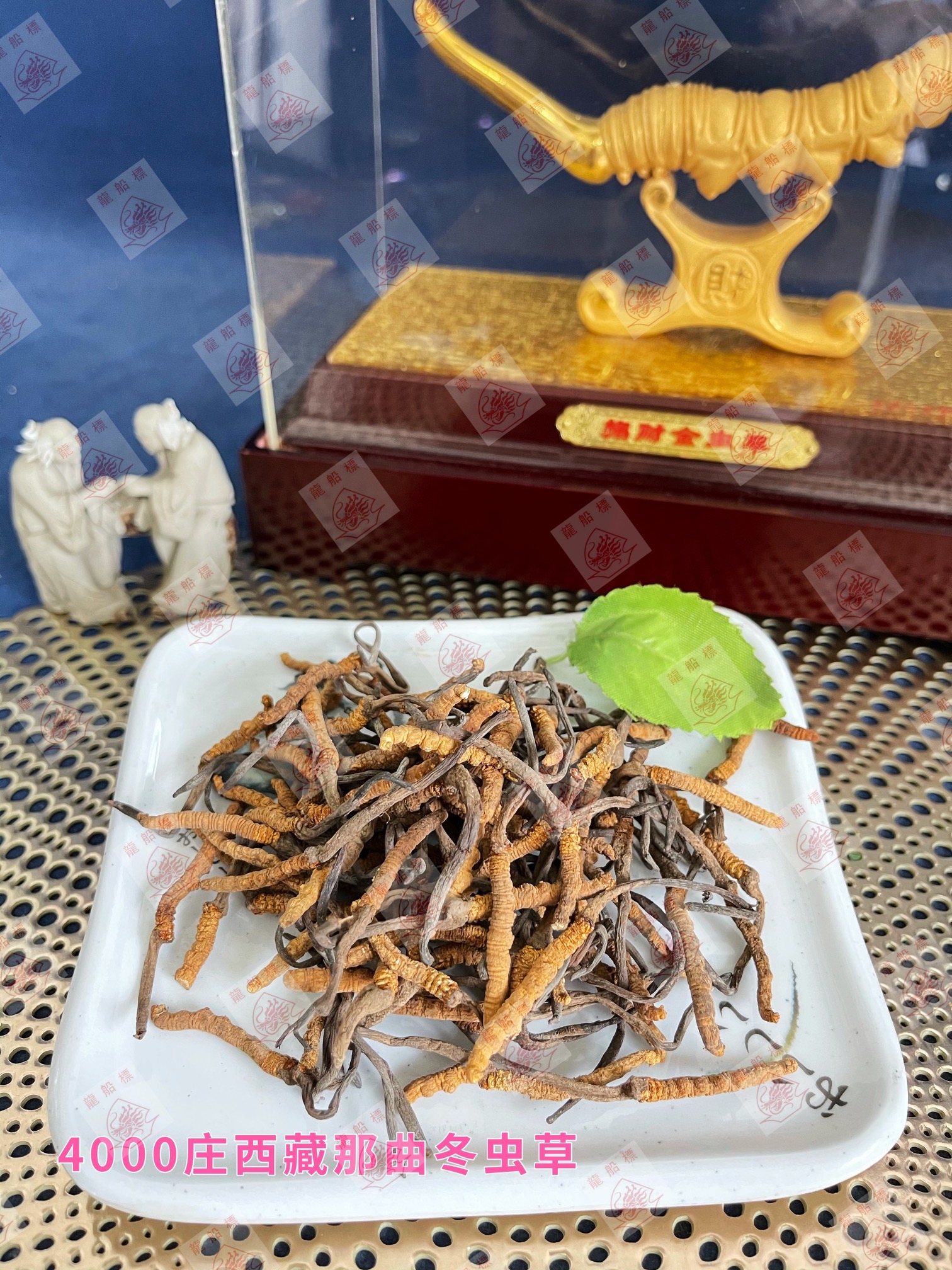 3_img_5688_watermark_thu_10062021_194322