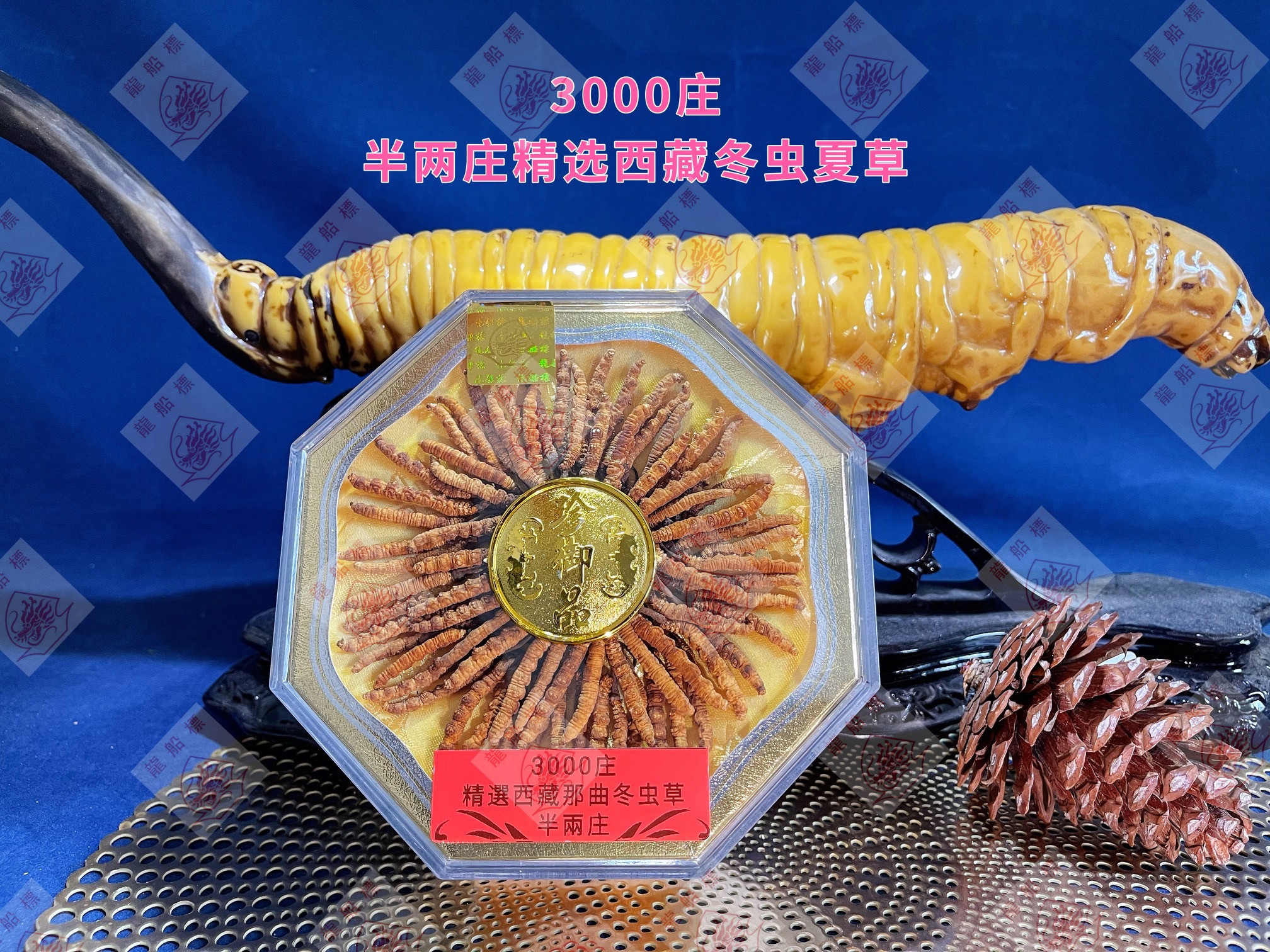 4_img_5682_watermark_thu_10062021_194148