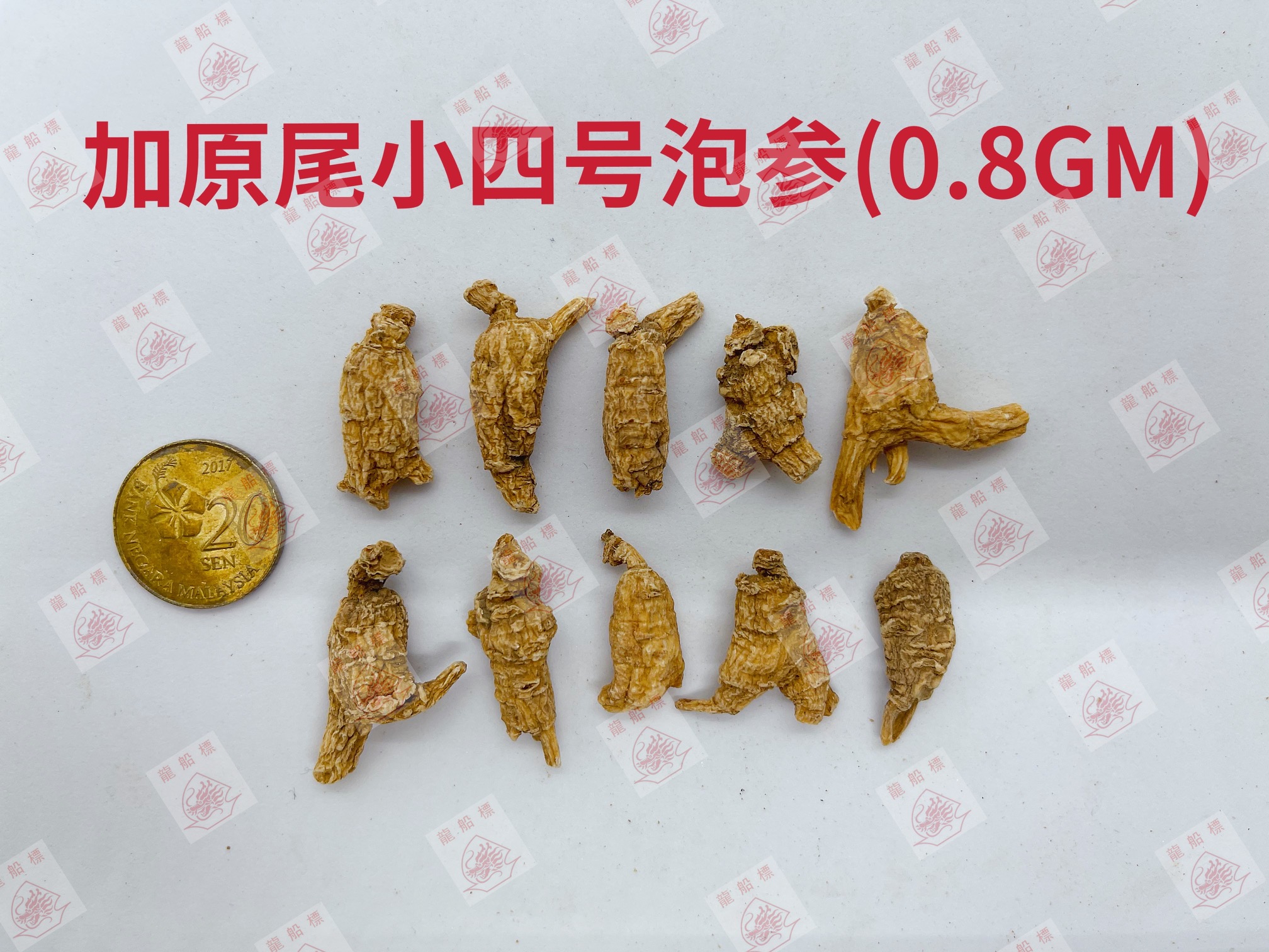 5_img_5111_watermark_fri_04062021_161105