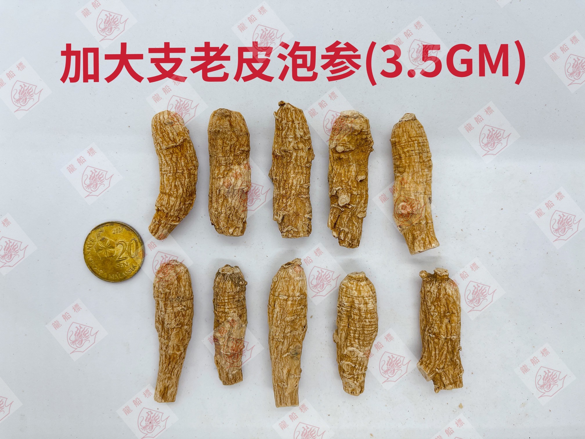 5_img_5140_watermark_fri_04062021_161427