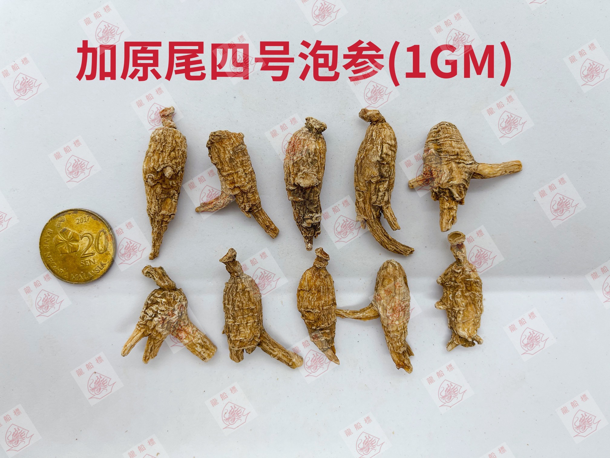 6_img_5113_watermark_fri_04062021_161106