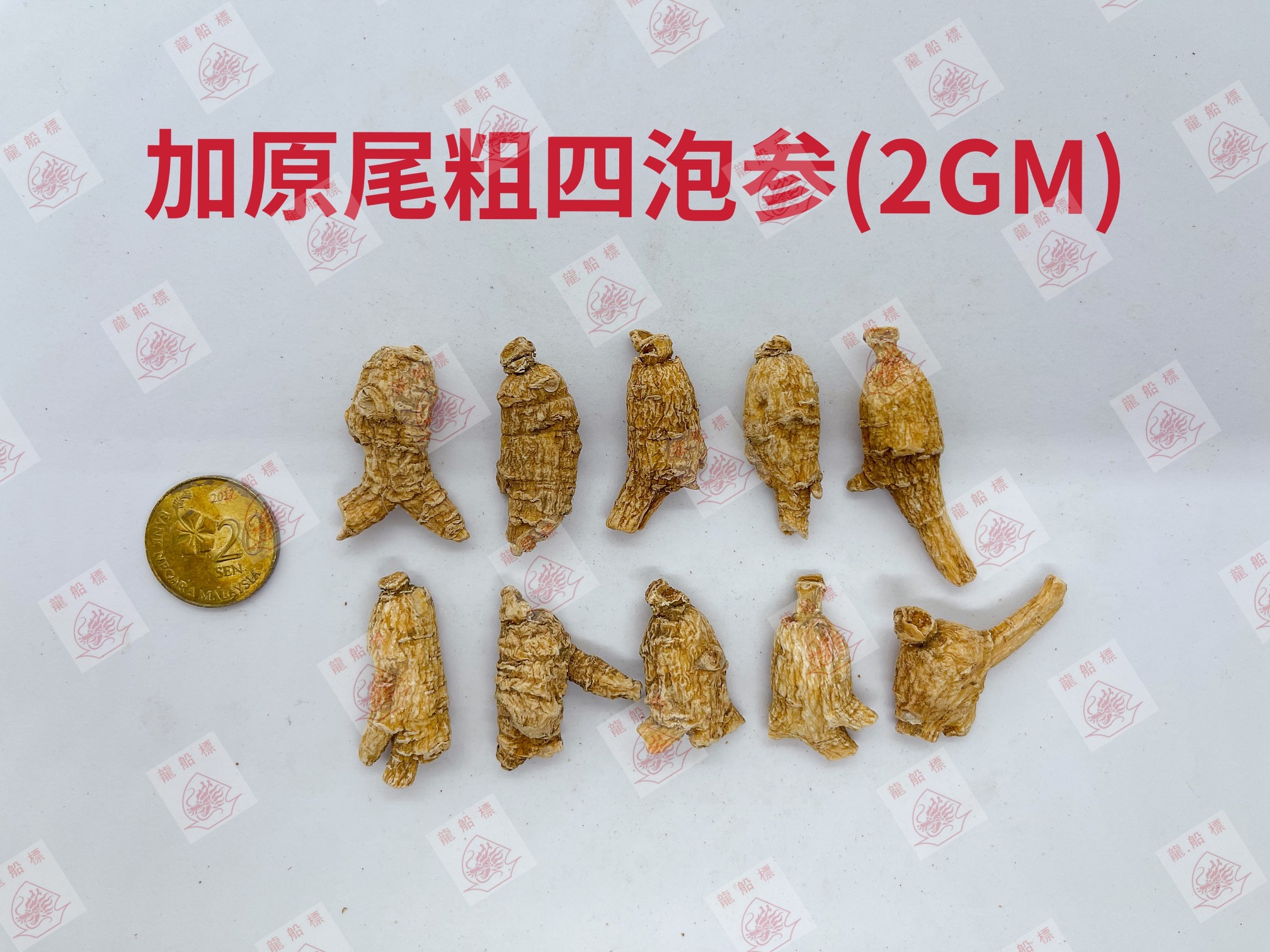 7_img_5116_watermark_fri_04062021_161107