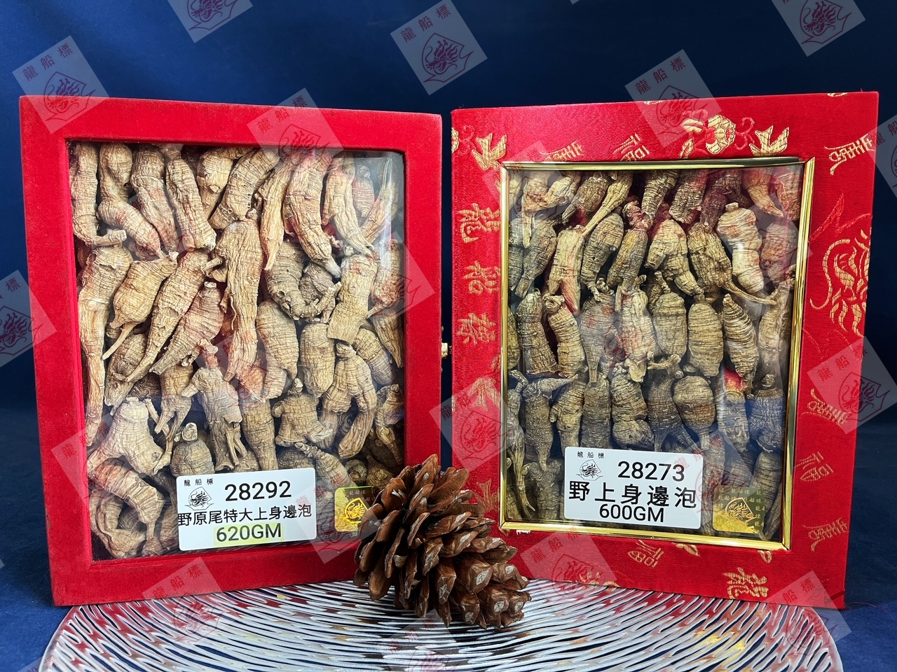 8_img_5455_watermark_wed_09062021_120518