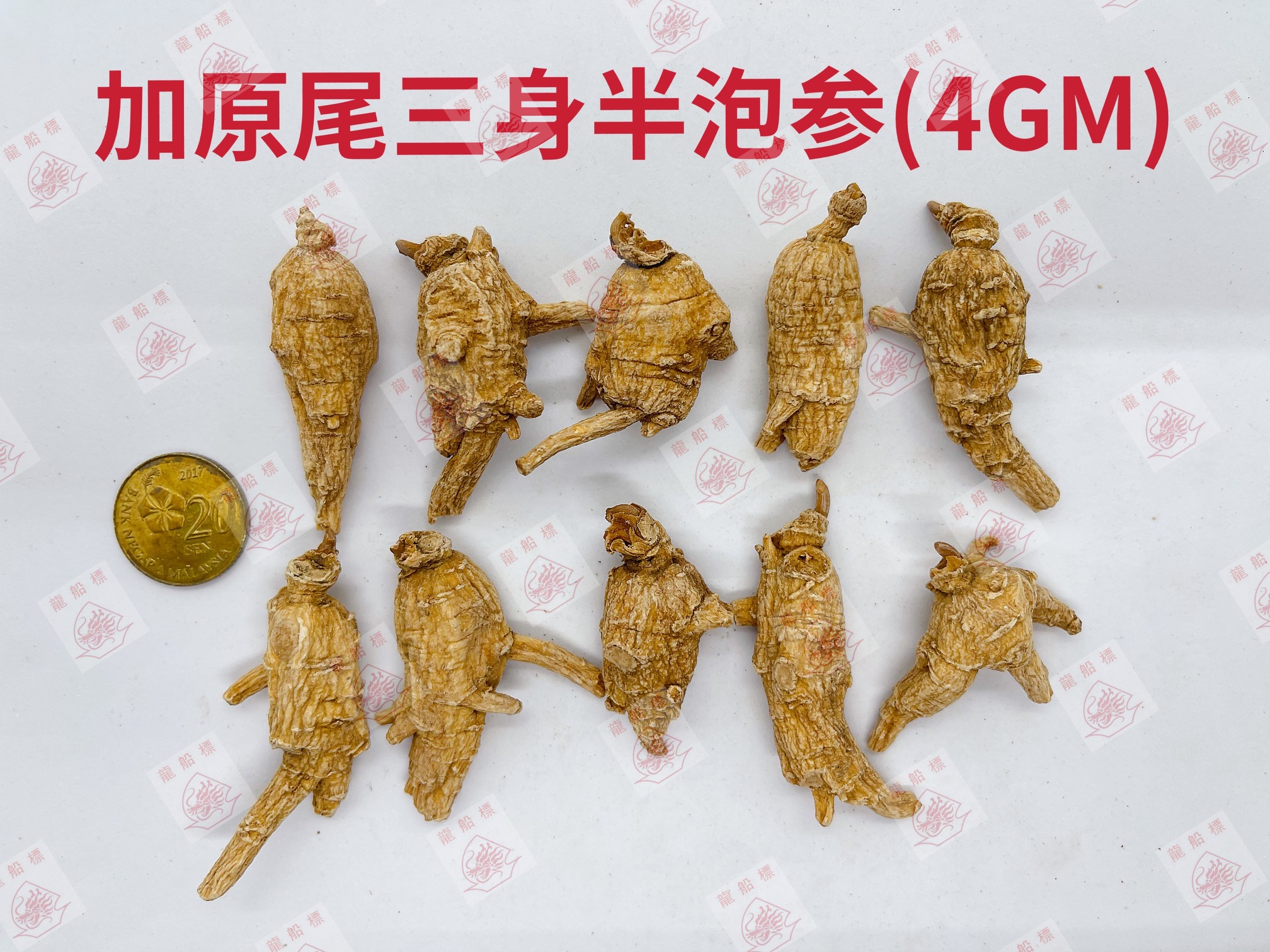 9_img_5120_watermark_fri_04062021_161109